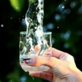 PFAS The Forever Chemical