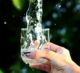 PFAS The Forever Chemical